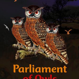 PARLIAMENT OF OWLS PLAY