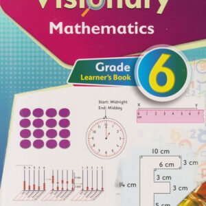 VISIONARY MATHS ACTIVITES PB GD 6
