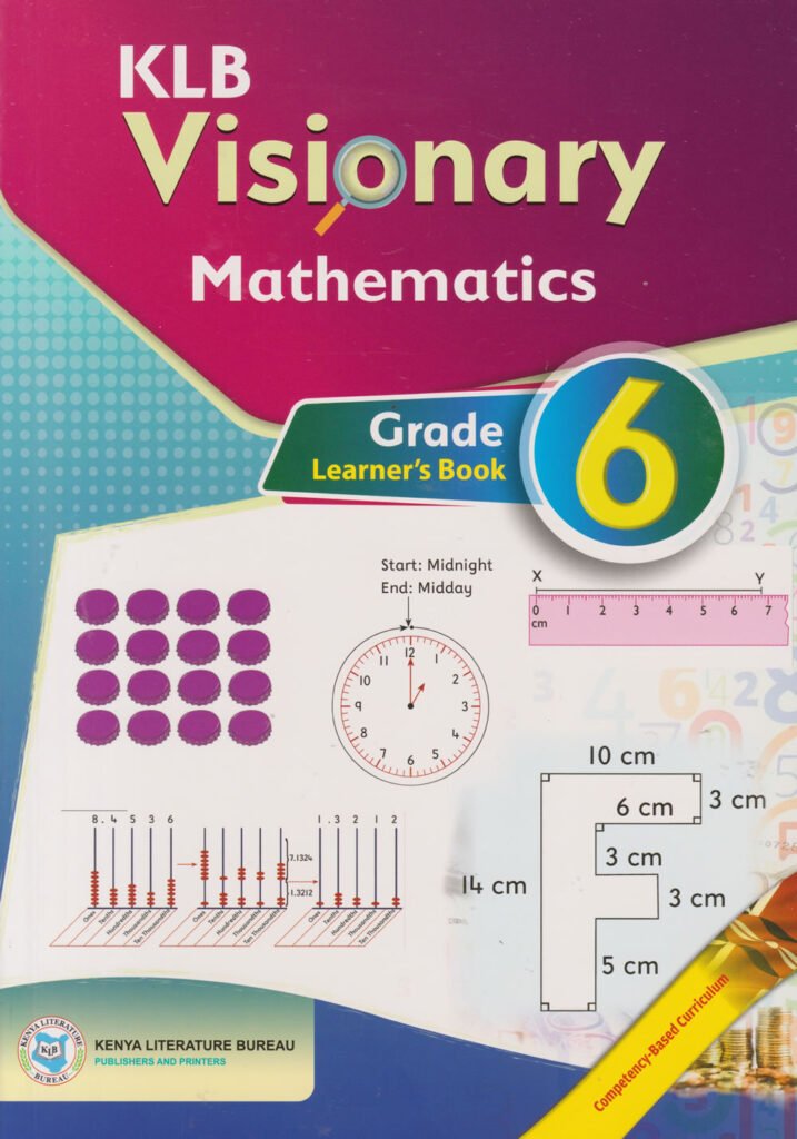 VISIONARY MATHS ACTIVITES PB GD 6