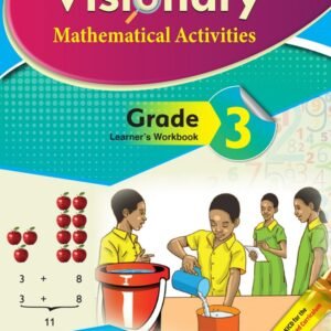 VISIONARY MATHS ACTIVITIES PB GD 3