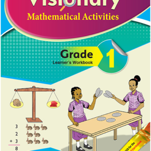 VISIONARY MATHS ACTIVITES PB GD 1