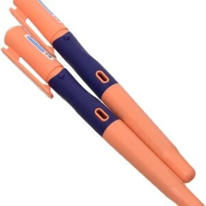 M&G FANCY FOUNTAIN PEN