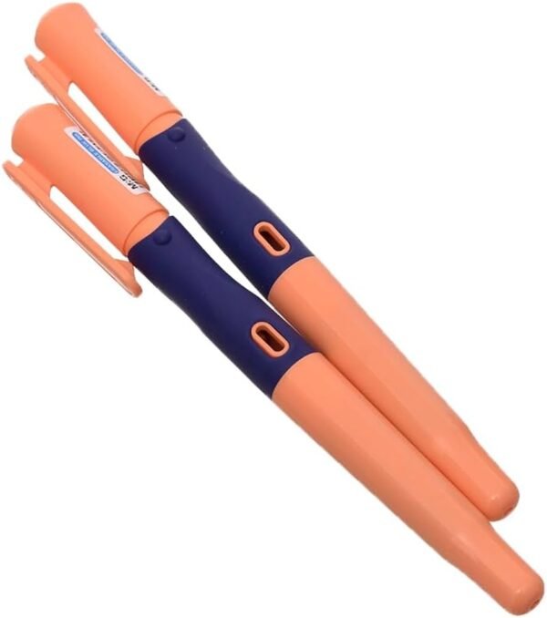 M&G FANCY FOUNTAIN PEN