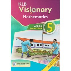 VISIONARY MATHS ACTIVITIES PB GD 5