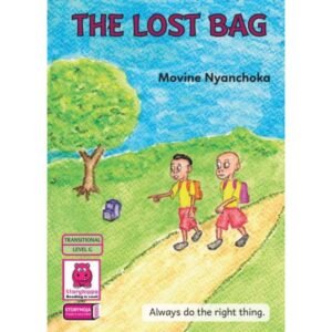 THE LOST BAG