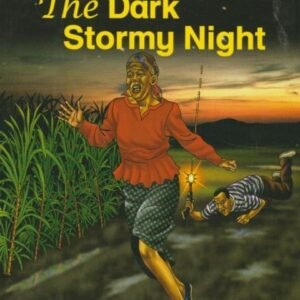 THE DARK STORMY NIGHT